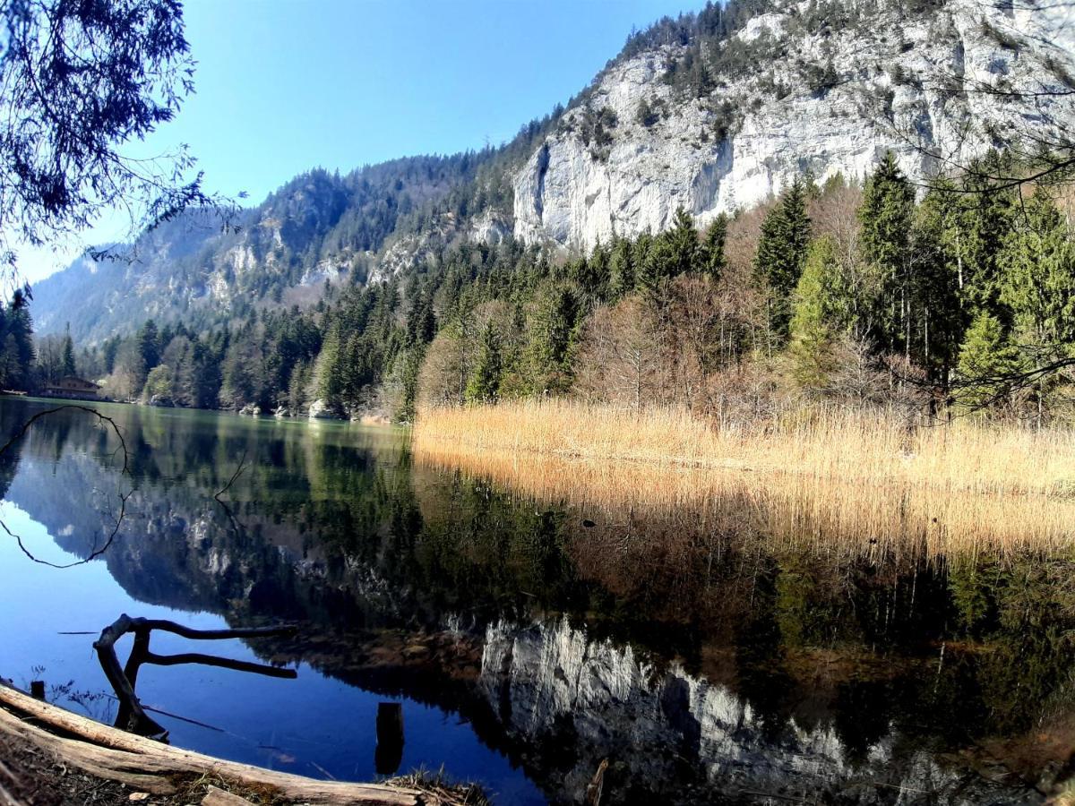 StummerbergHaus Pretterhoferアパートメント エクステリア 写真